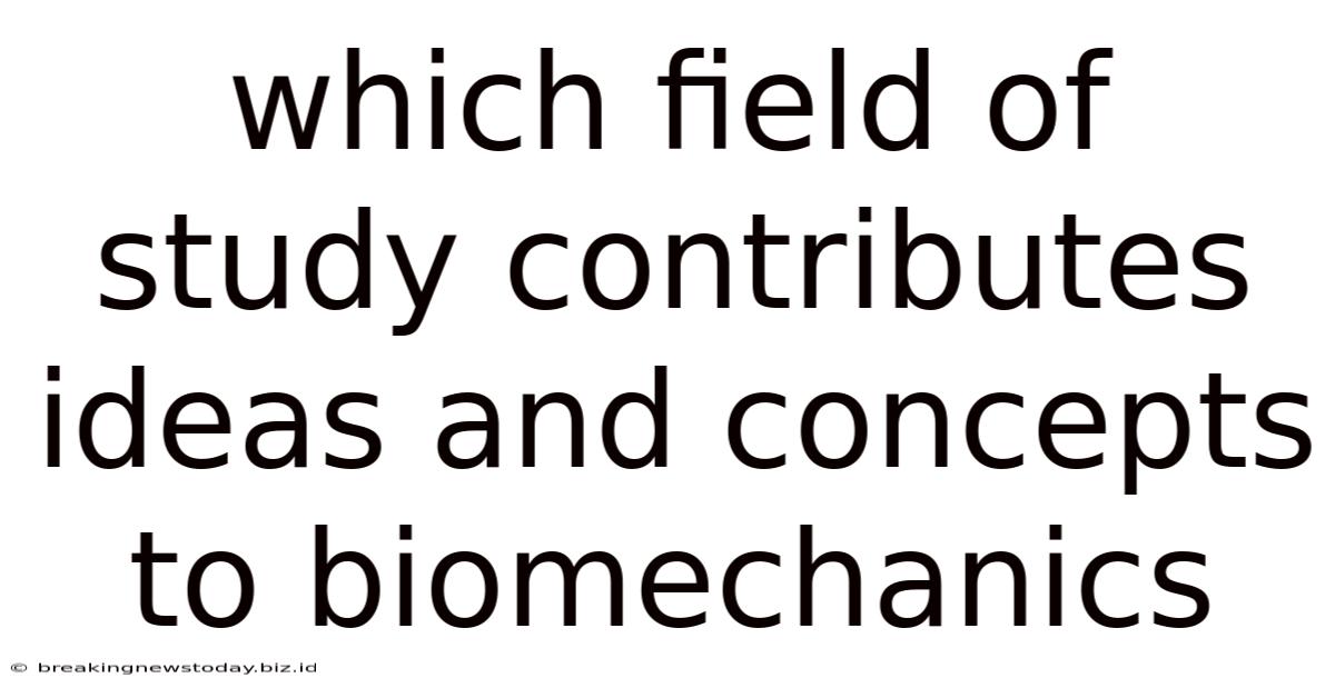 Which Field Of Study Contributes Ideas And Concepts To Biomechanics