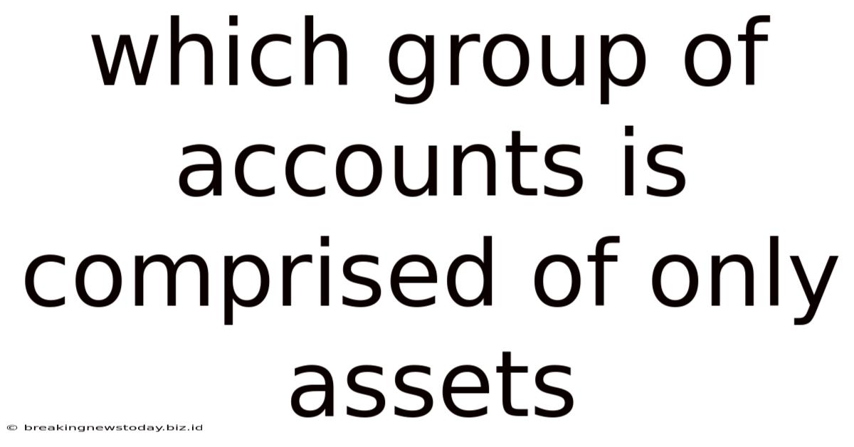 Which Group Of Accounts Is Comprised Of Only Assets