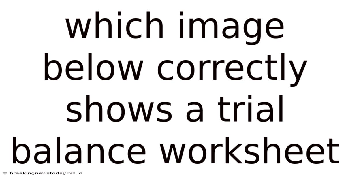 Which Image Below Correctly Shows A Trial Balance Worksheet
