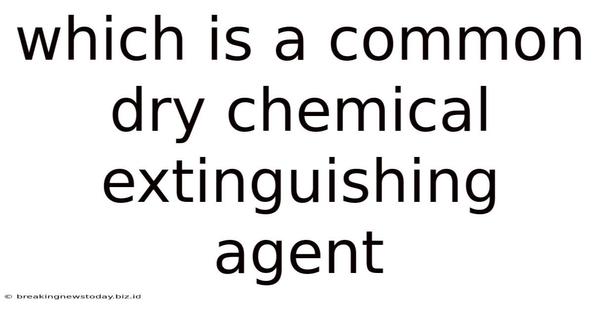 Which Is A Common Dry Chemical Extinguishing Agent