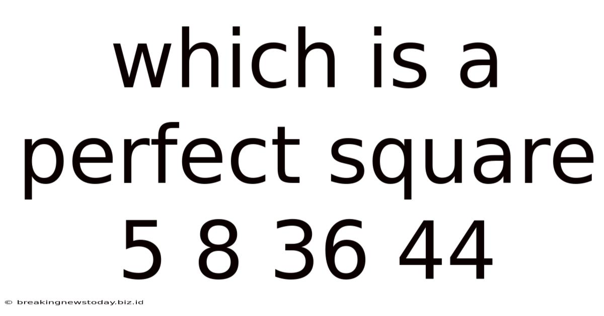 Which Is A Perfect Square 5 8 36 44