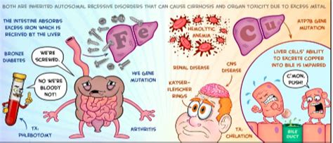 Which Is A Symptom Of Hemochromatosis Quizlet