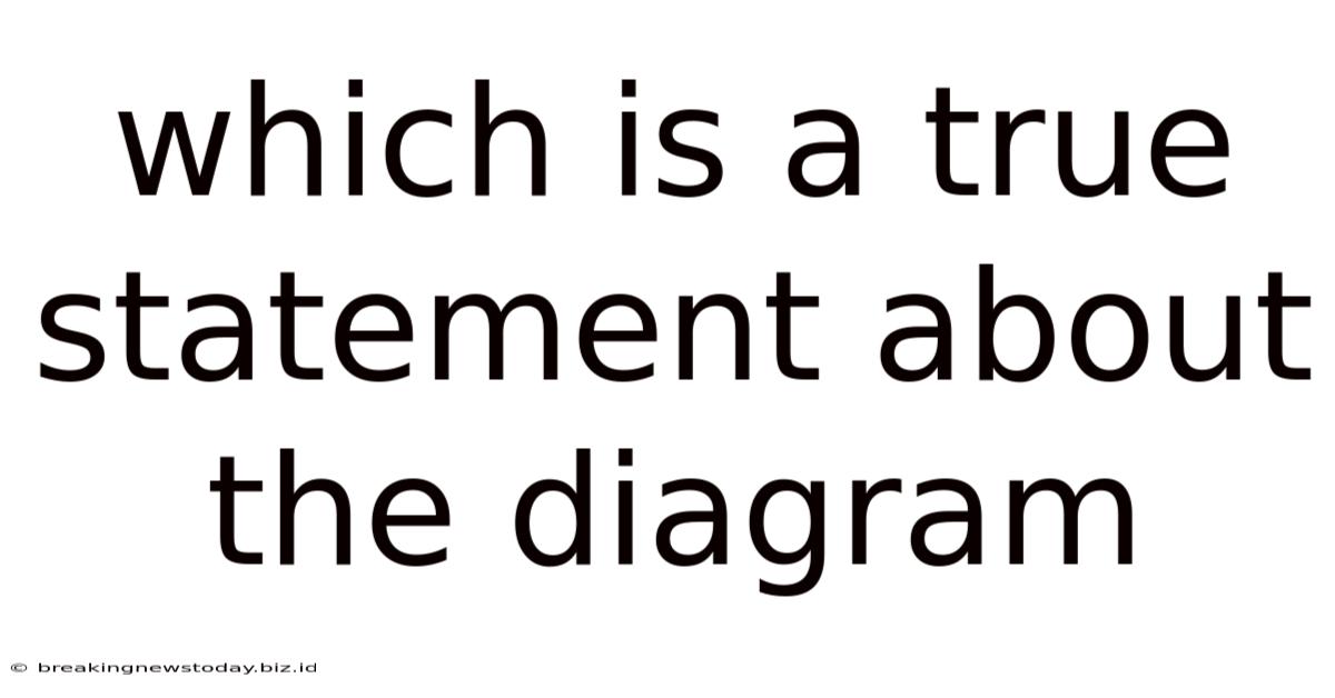 Which Is A True Statement About The Diagram