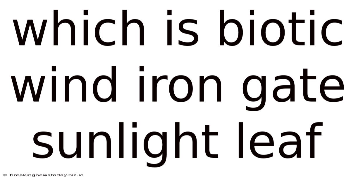 Which Is Biotic Wind Iron Gate Sunlight Leaf