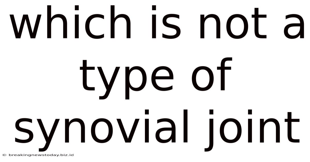 Which Is Not A Type Of Synovial Joint