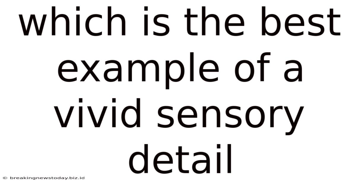 Which Is The Best Example Of A Vivid Sensory Detail