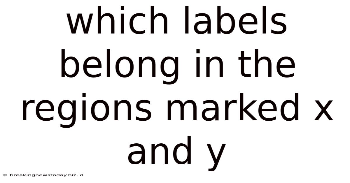 Which Labels Belong In The Regions Marked X And Y