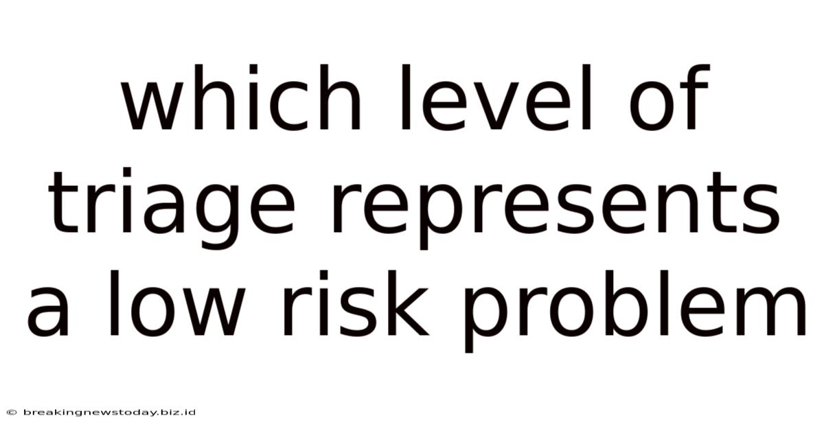 Which Level Of Triage Represents A Low Risk Problem