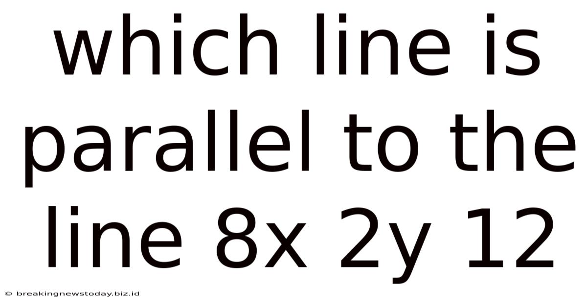 Which Line Is Parallel To The Line 8x 2y 12