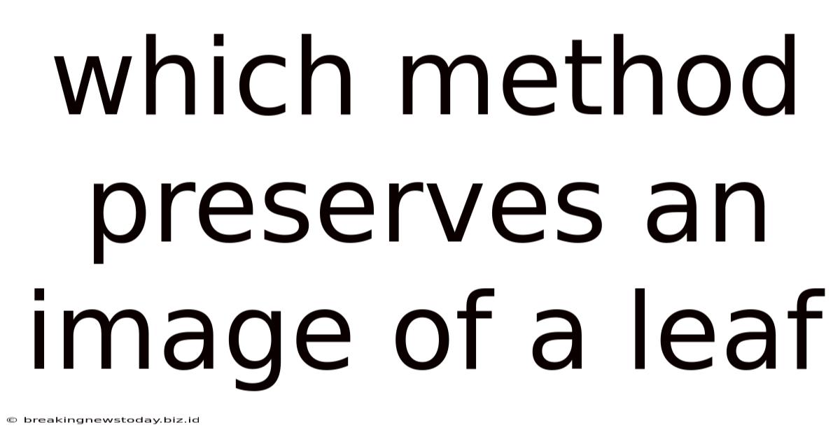 Which Method Preserves An Image Of A Leaf