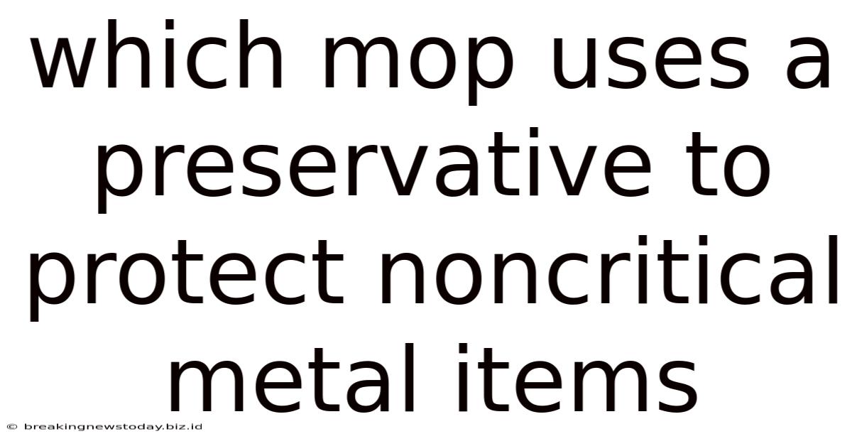 Which Mop Uses A Preservative To Protect Noncritical Metal Items