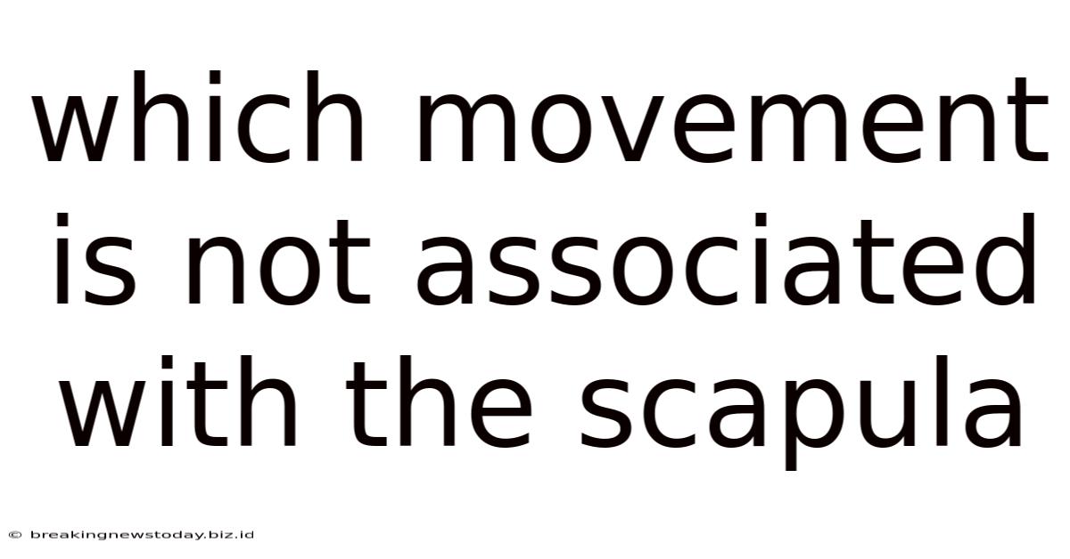 Which Movement Is Not Associated With The Scapula