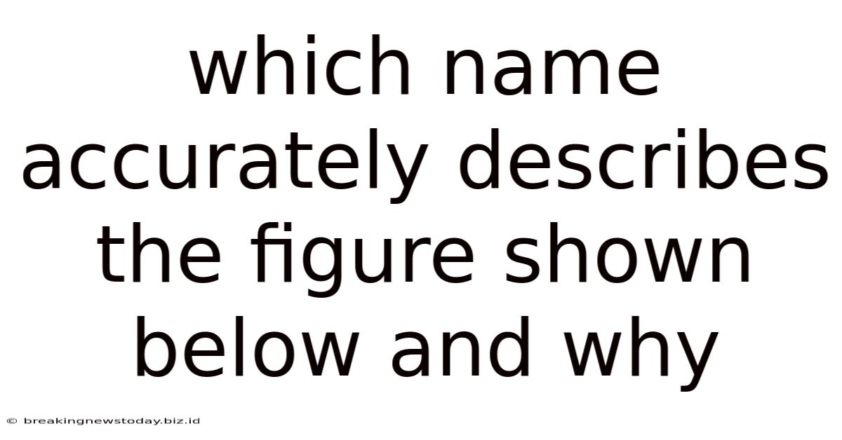 Which Name Accurately Describes The Figure Shown Below And Why