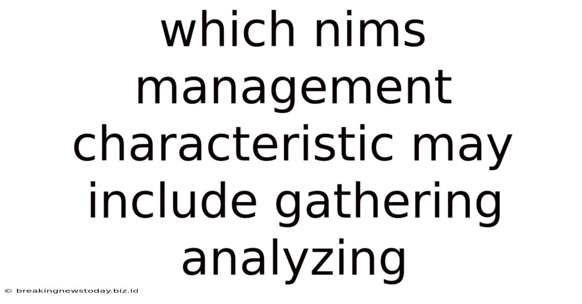 Which Nims Management Characteristic May Include Gathering Analyzing