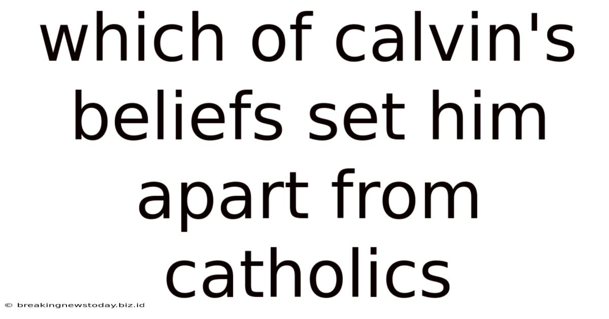 Which Of Calvin's Beliefs Set Him Apart From Catholics