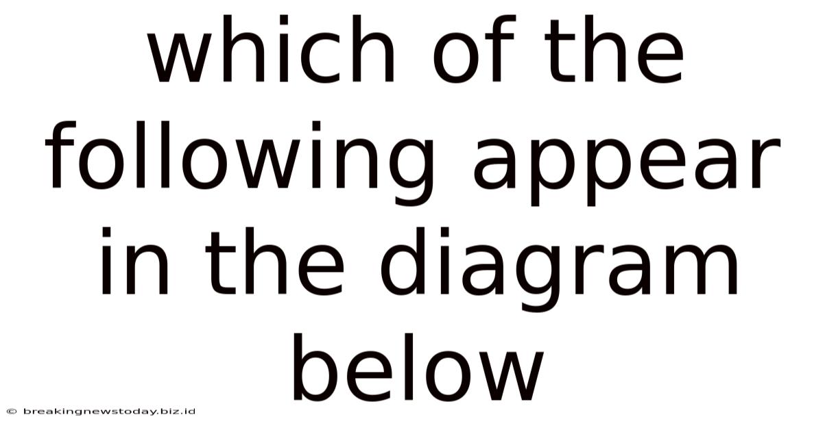 Which Of The Following Appear In The Diagram Below