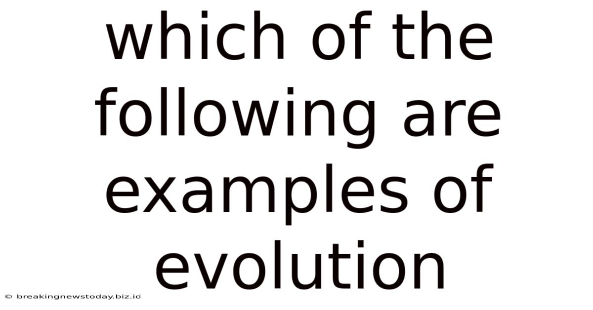 Which Of The Following Are Examples Of Evolution