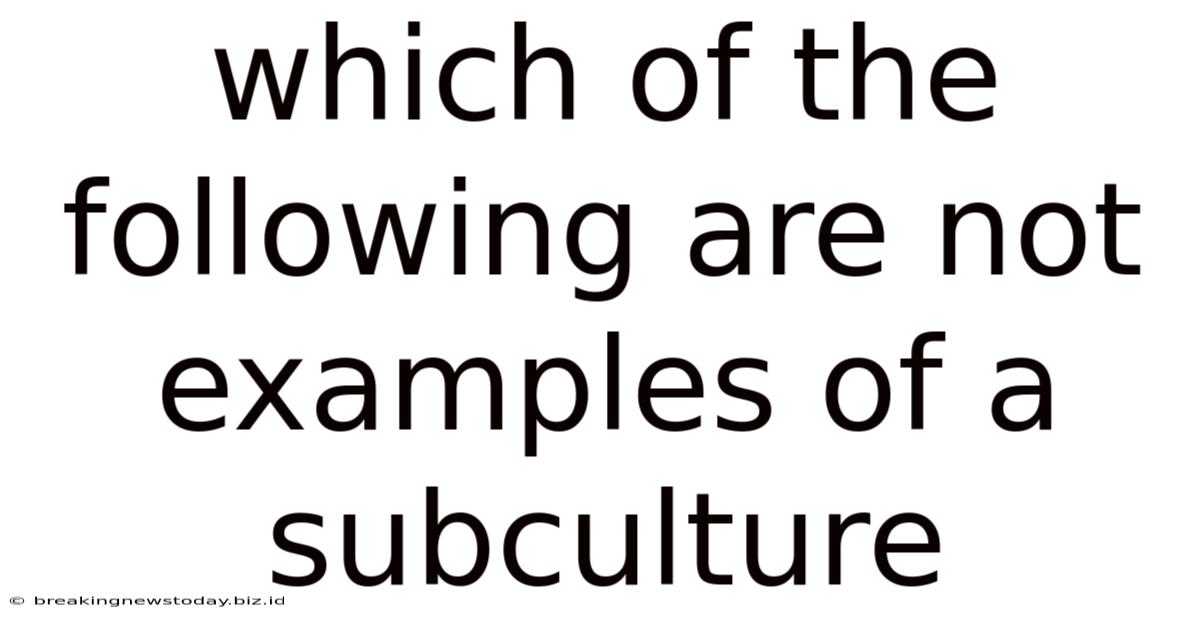 Which Of The Following Are Not Examples Of A Subculture