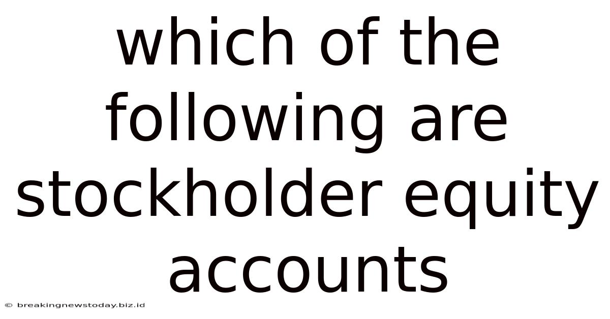 Which Of The Following Are Stockholder Equity Accounts