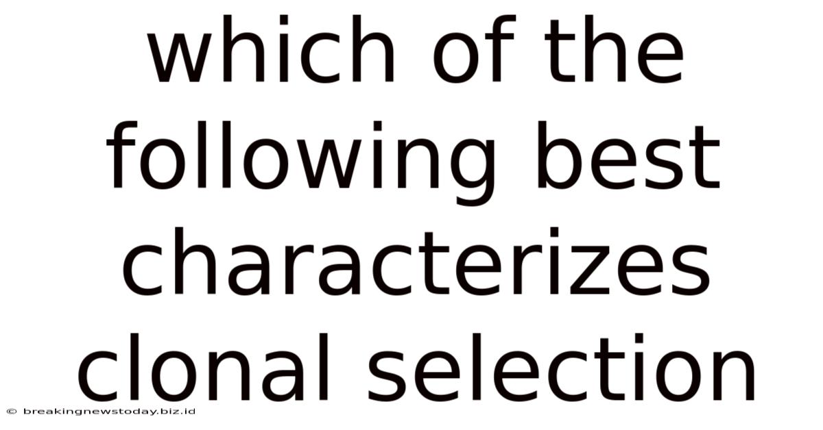 Which Of The Following Best Characterizes Clonal Selection