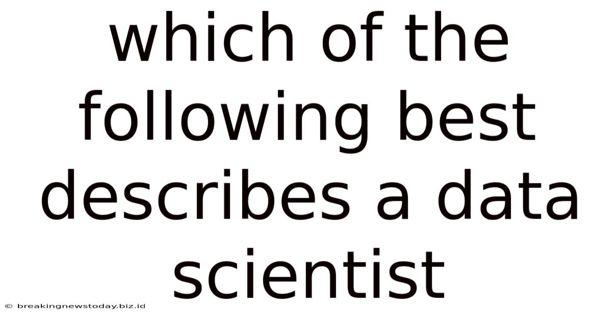 Which Of The Following Best Describes A Data Scientist