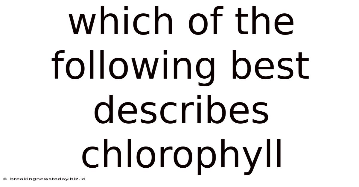 Which Of The Following Best Describes Chlorophyll
