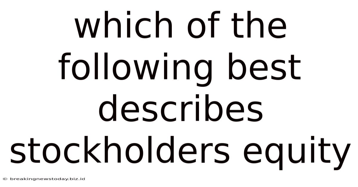 Which Of The Following Best Describes Stockholders Equity