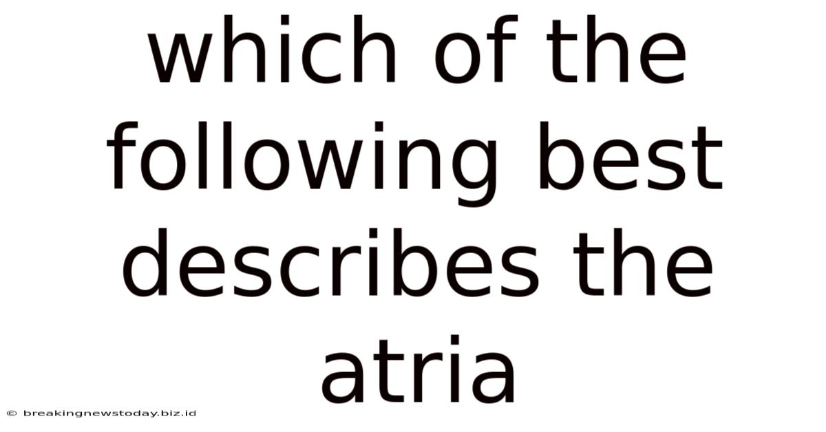 Which Of The Following Best Describes The Atria