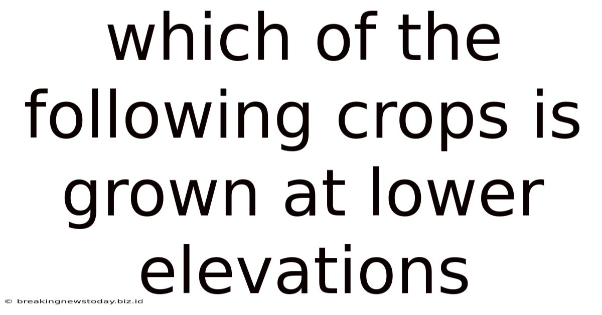 Which Of The Following Crops Is Grown At Lower Elevations