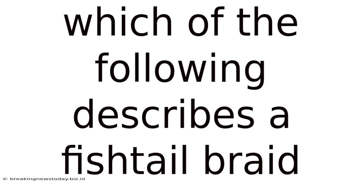 Which Of The Following Describes A Fishtail Braid