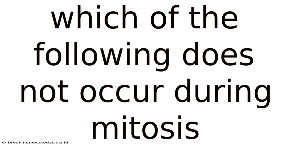 Which Of The Following Does Not Occur During Mitosis