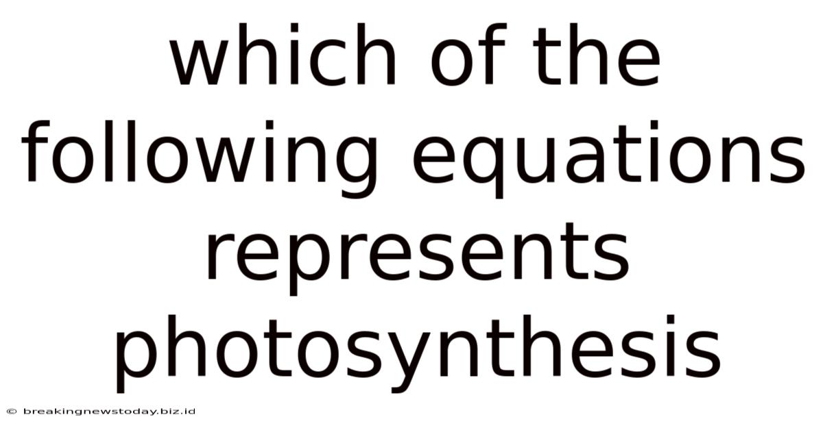 Which Of The Following Equations Represents Photosynthesis