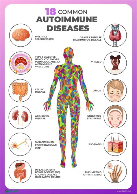 Which Of The Following Examples Below Describes An Autoimmune Disease