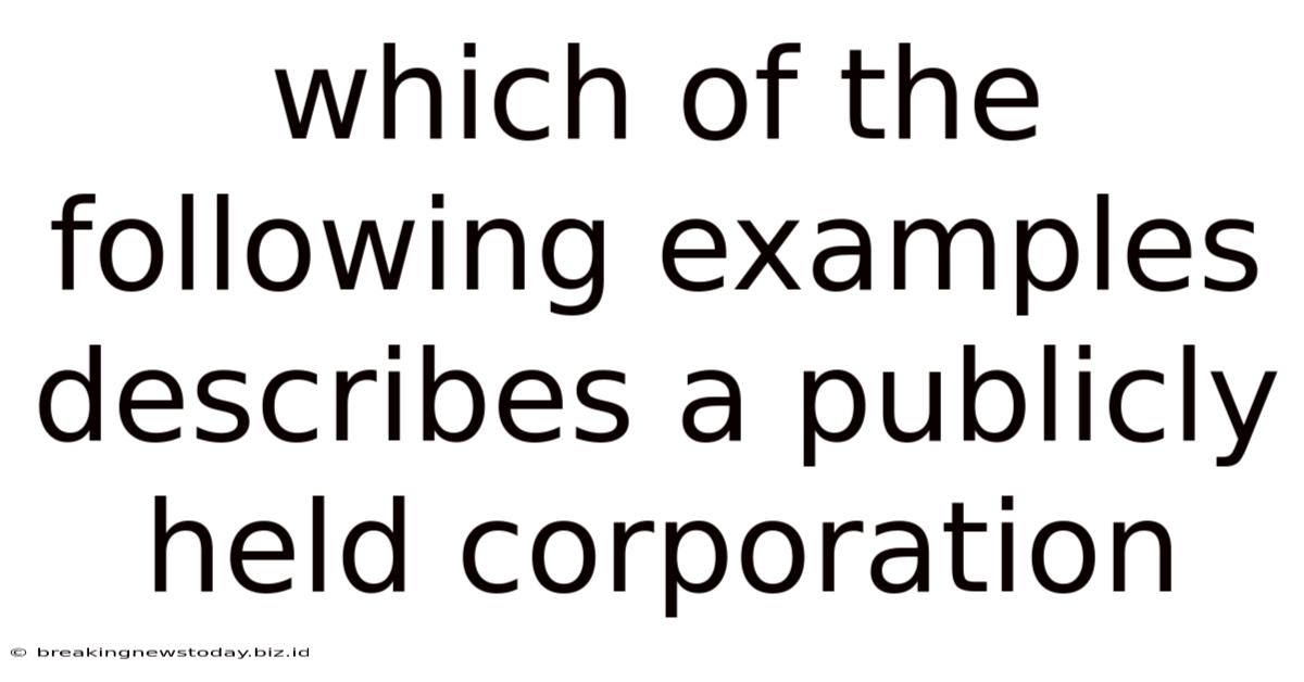 Which Of The Following Examples Describes A Publicly Held Corporation