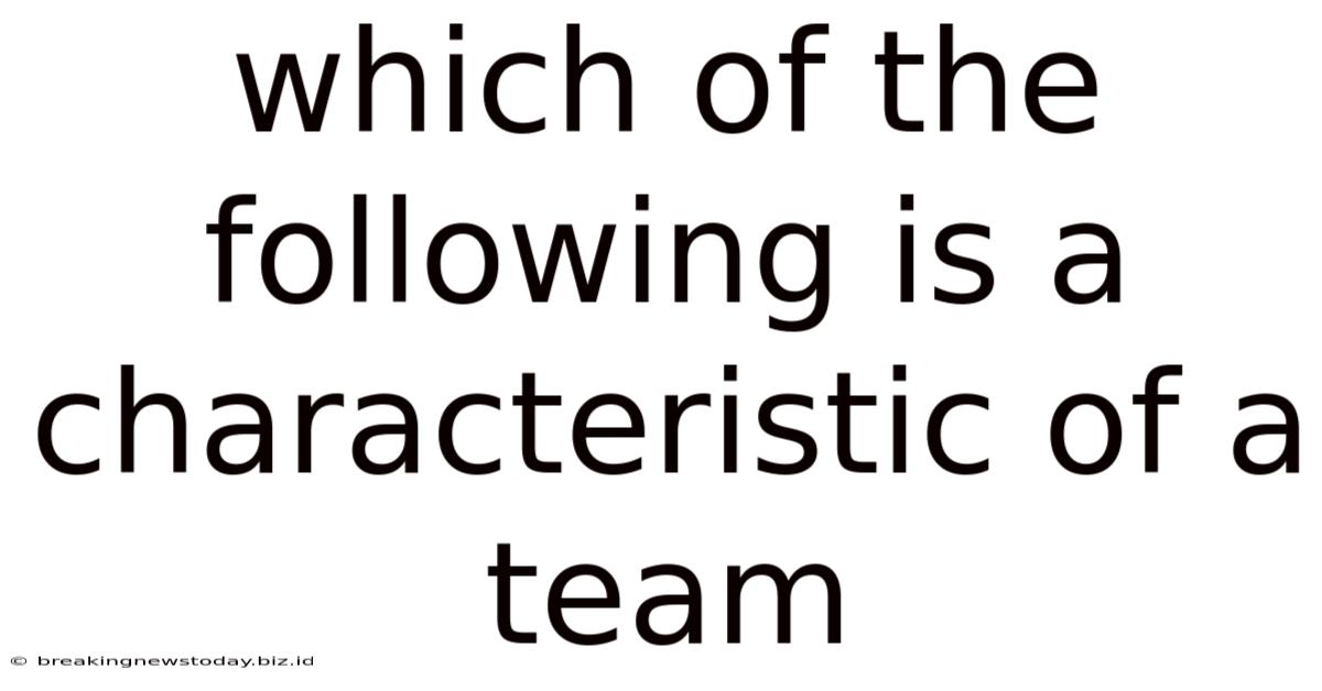 Which Of The Following Is A Characteristic Of A Team