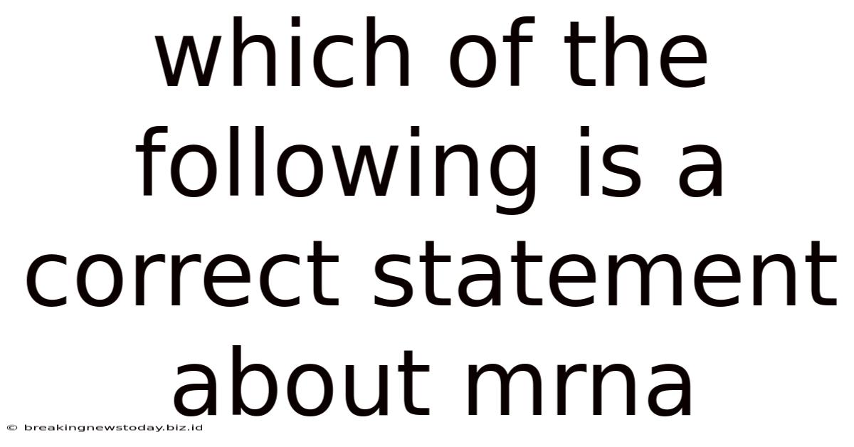 Which Of The Following Is A Correct Statement About Mrna