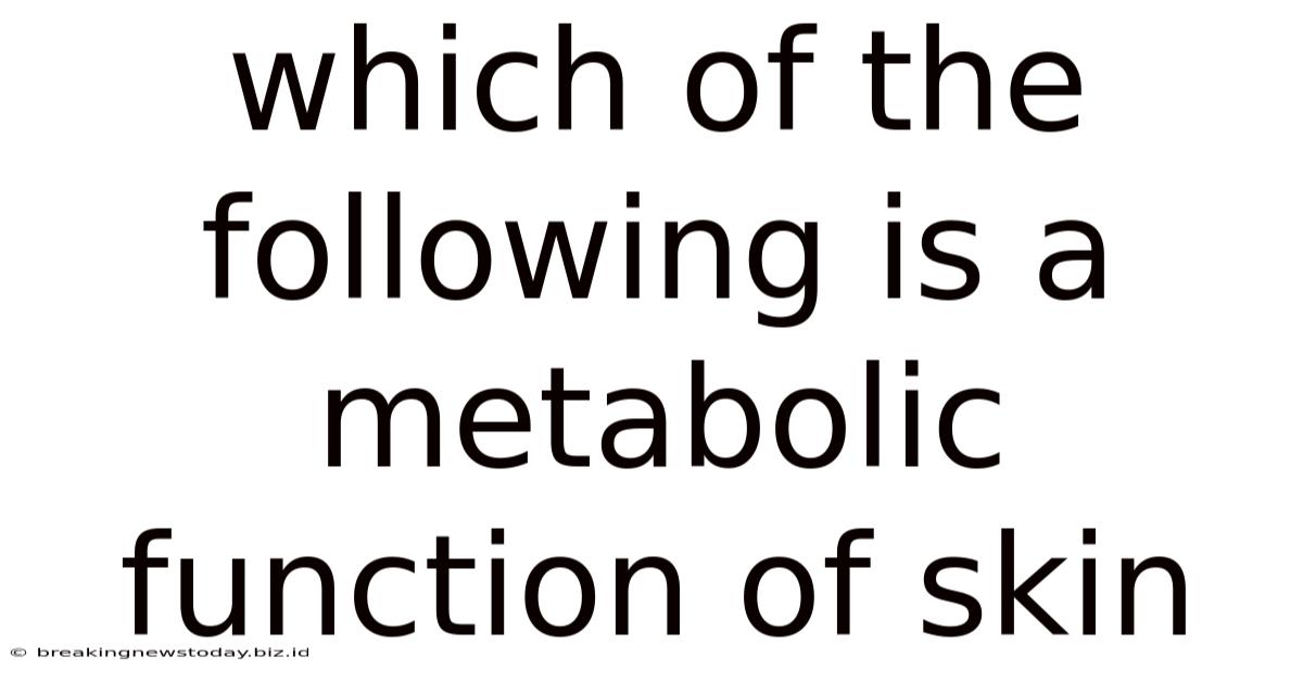Which Of The Following Is A Metabolic Function Of Skin