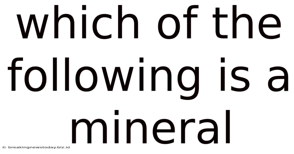 Which Of The Following Is A Mineral