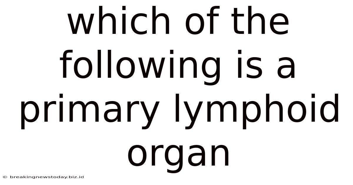 Which Of The Following Is A Primary Lymphoid Organ