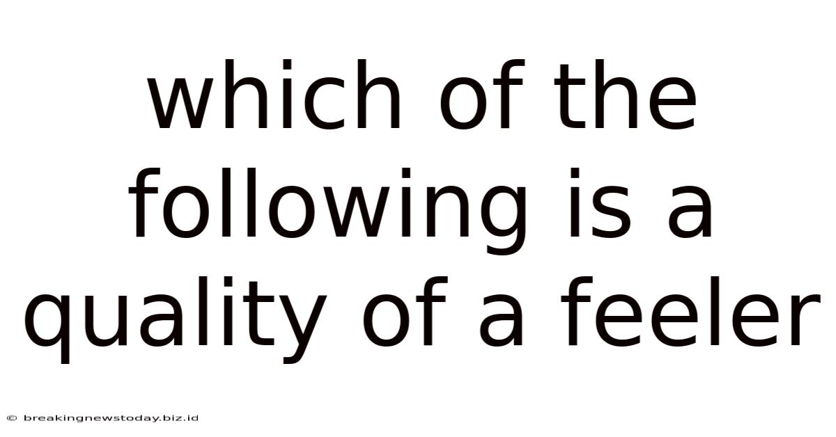 Which Of The Following Is A Quality Of A Feeler