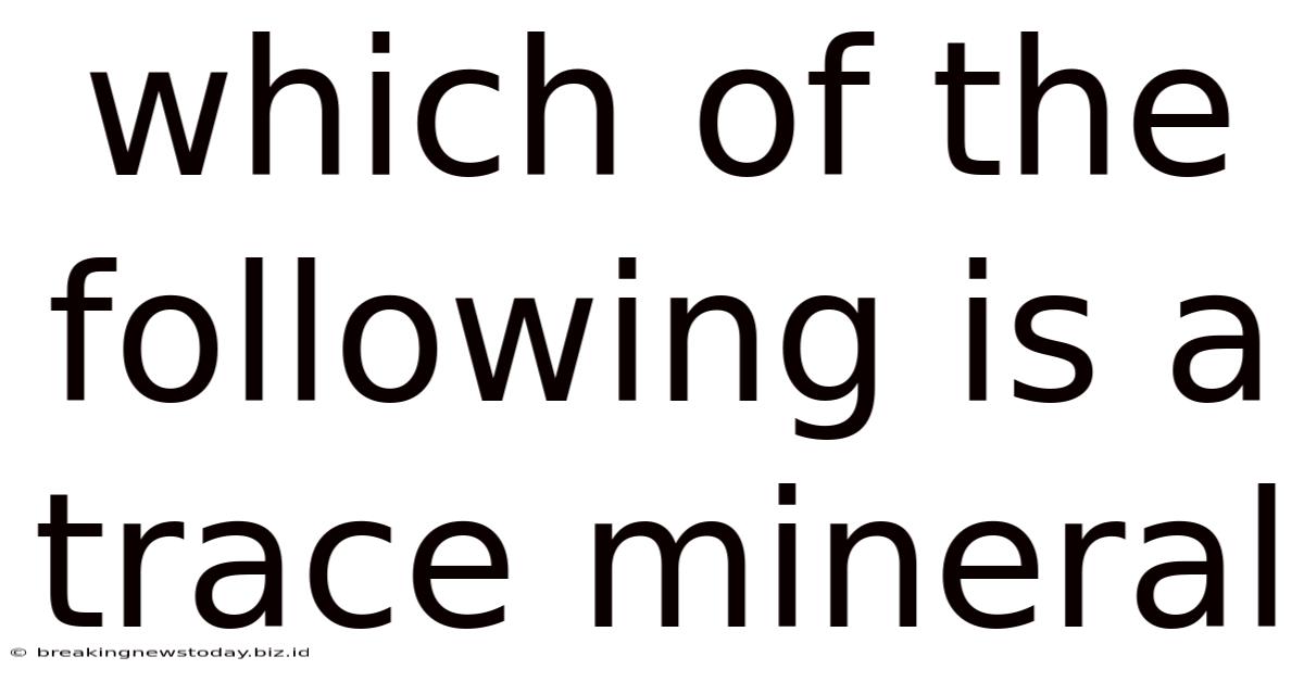 Which Of The Following Is A Trace Mineral