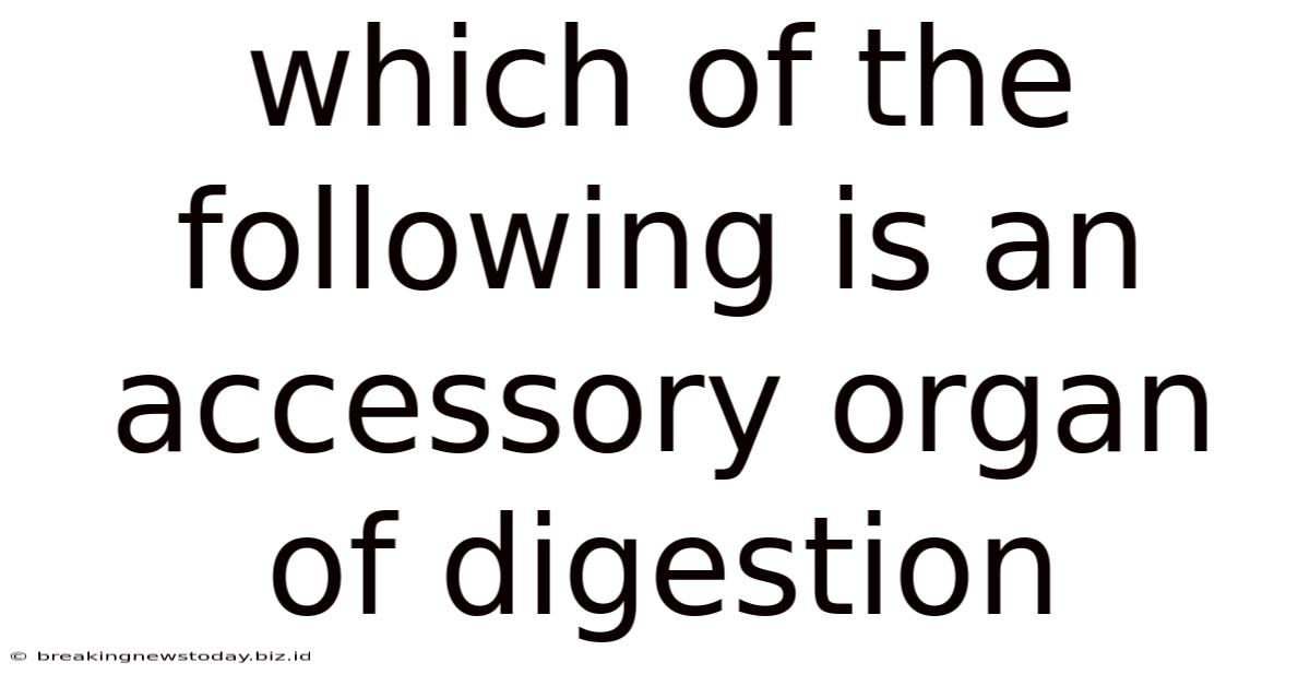 Which Of The Following Is An Accessory Organ Of Digestion
