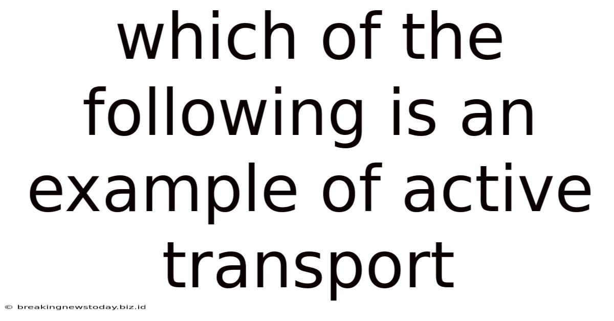 Which Of The Following Is An Example Of Active Transport