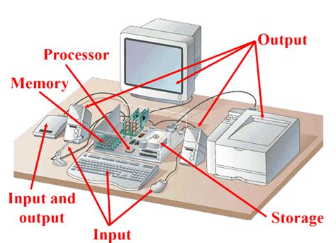 Which Of The Following Is An Example Of Computer Hardware