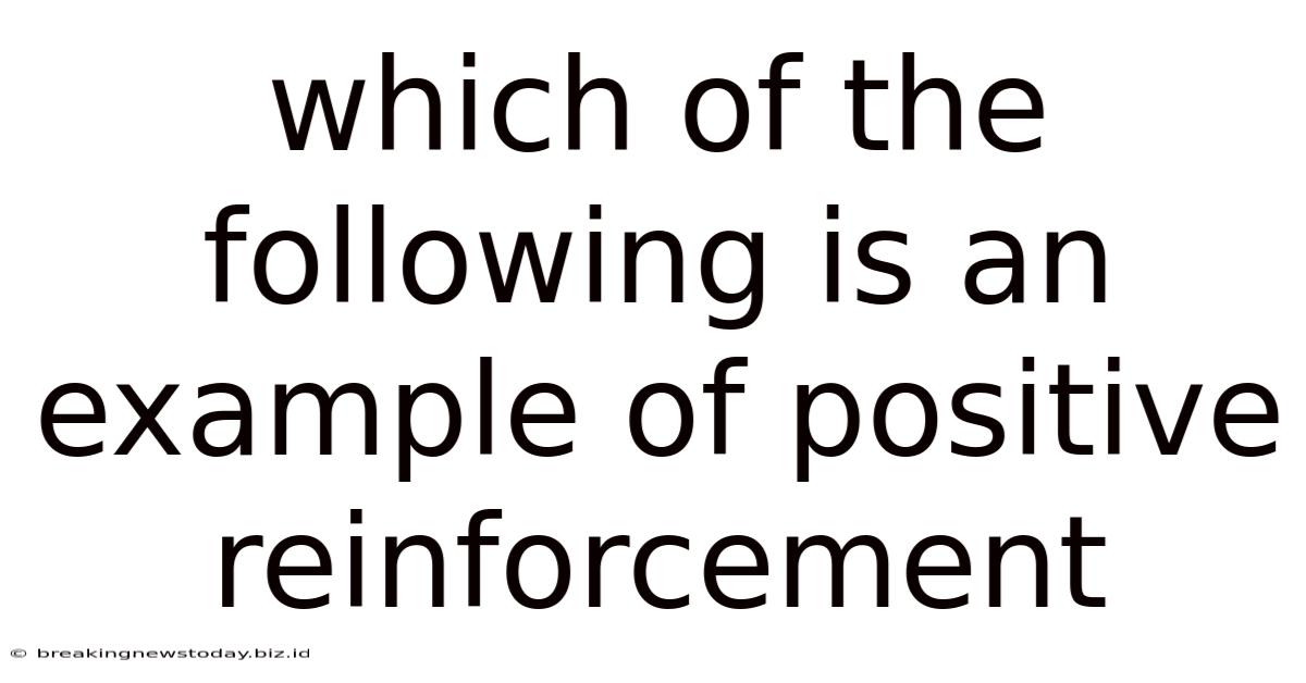 Which Of The Following Is An Example Of Positive Reinforcement