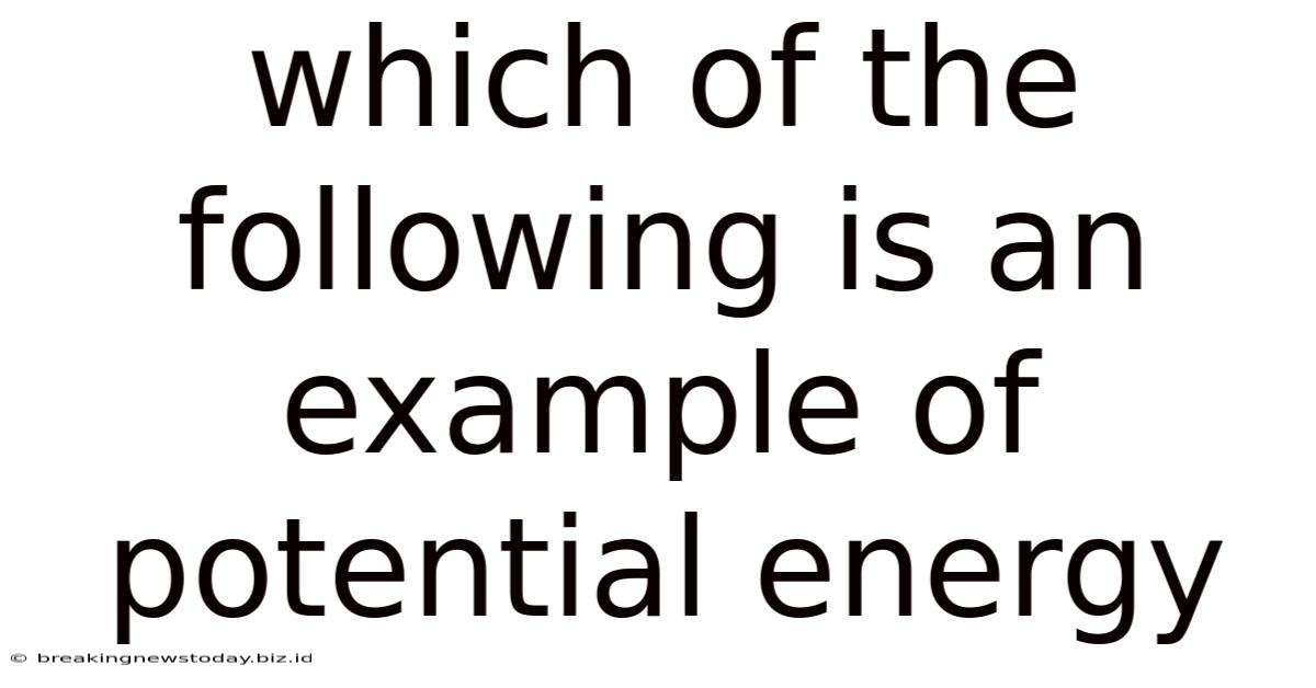 Which Of The Following Is An Example Of Potential Energy
