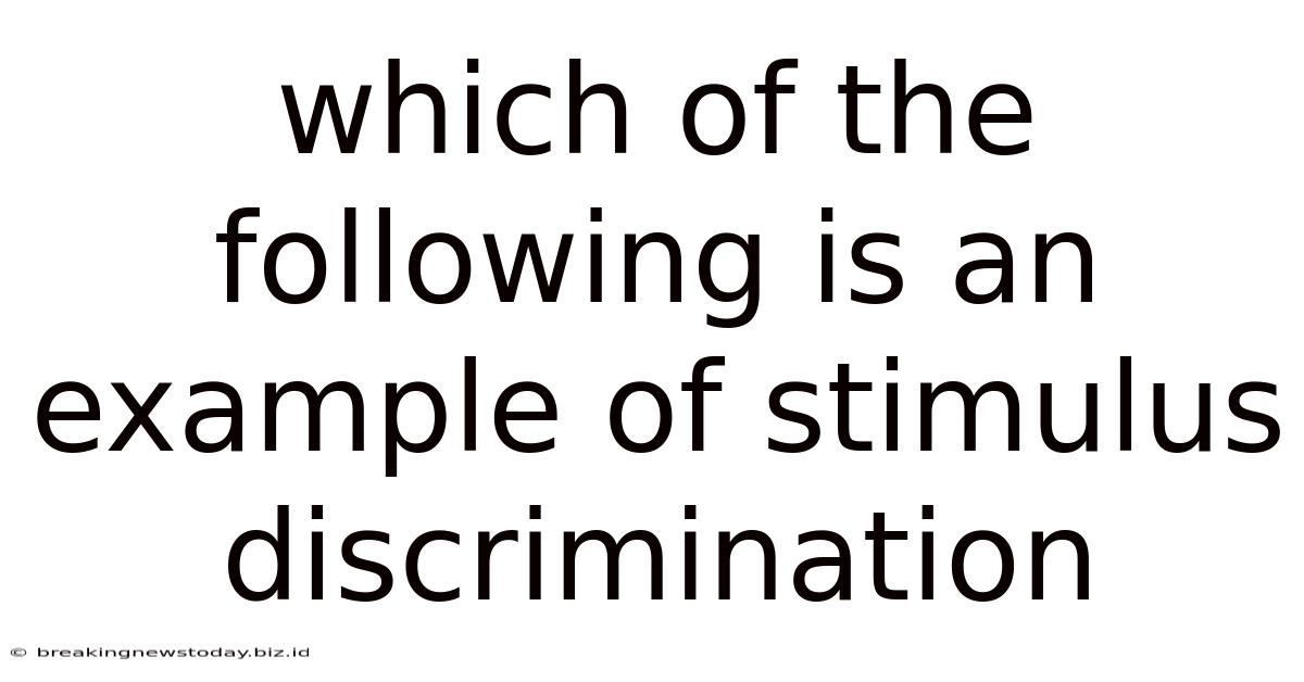 Which Of The Following Is An Example Of Stimulus Discrimination