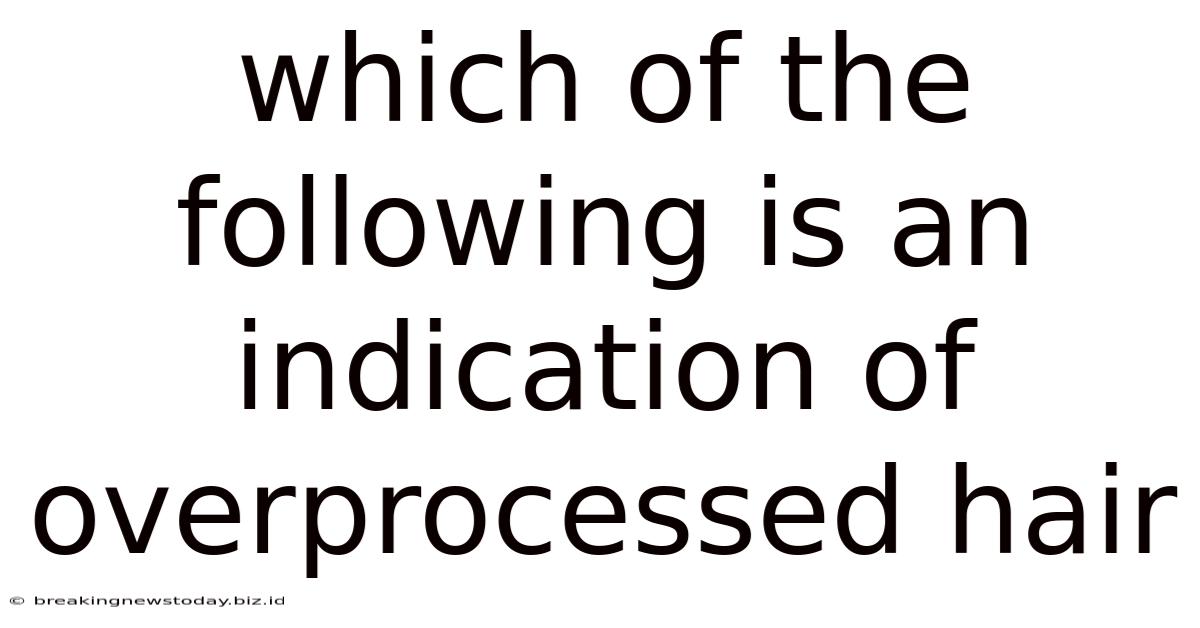 Which Of The Following Is An Indication Of Overprocessed Hair