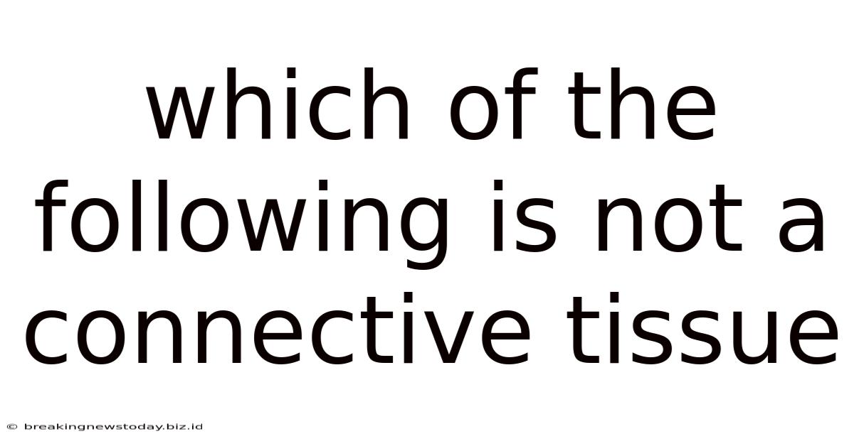 Which Of The Following Is Not A Connective Tissue