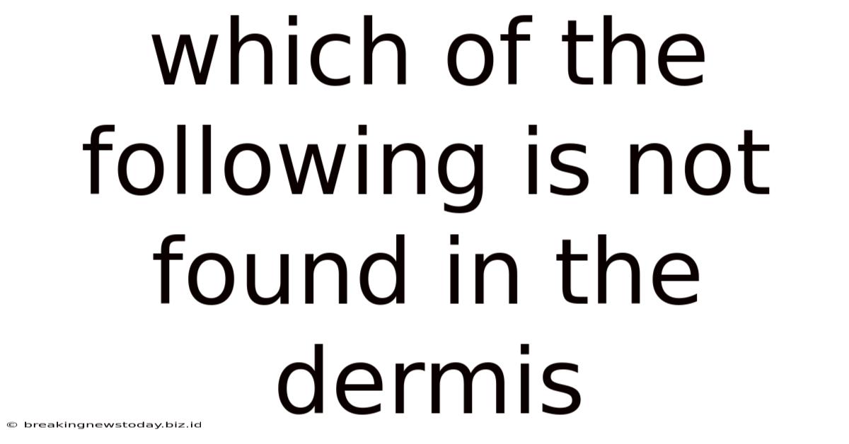 Which Of The Following Is Not Found In The Dermis